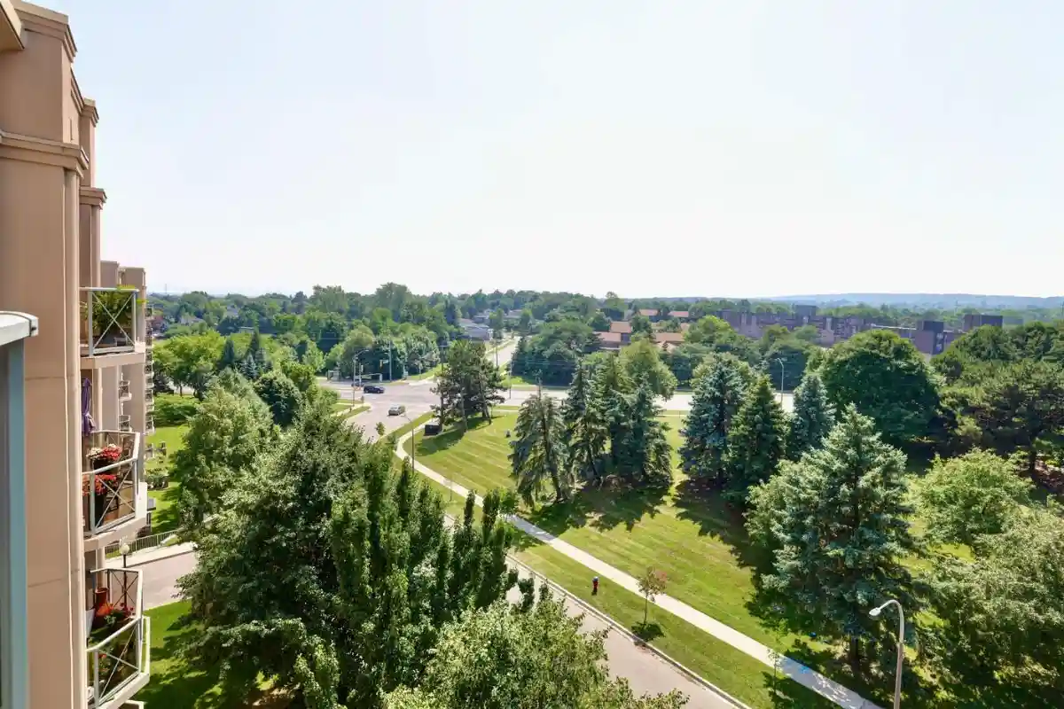 View.