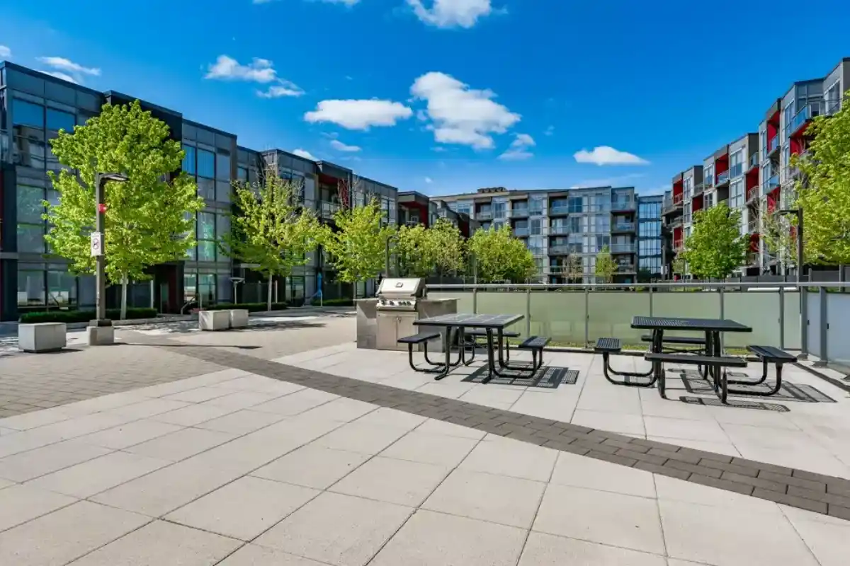 Patio and Barbecue Area